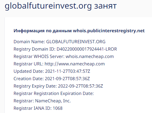 Подробный обзор о компании Global Future Investment