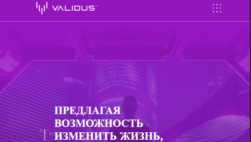 Validus (teamvalidus.com) примитивная пирамида!