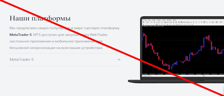 Полный обзор ForexLive – проверка на обман