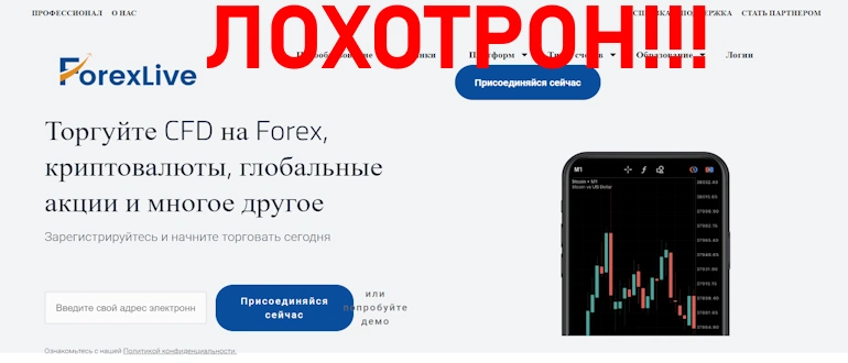 Полный обзор ForexLive – проверка на обман