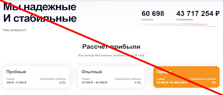 Staco реальные отзывы о проекте