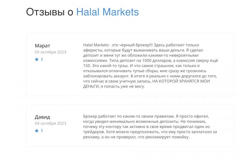 Обзор нового проекта Halal Markets, проверка и реальные отзывы.