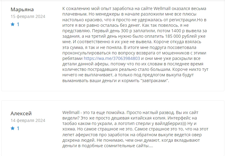Wellmall — отзывы инвесторов. Проверка и честный обзор