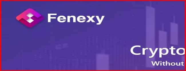 Остерегаемся. Fenexy (fenexy.com) – обменник, кошелек, инвест проект в одном месте. Как разводят на лохотроне. Отзывы